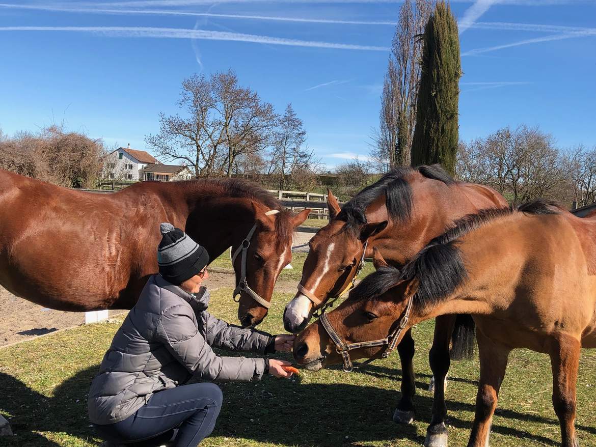 Equitation Equitation