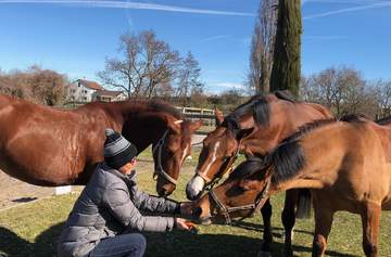 Venez découvrez l'équitation adaptée Venez découvrez l'équitation adaptée