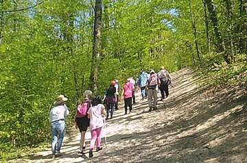 La marche et les beaux jours... La marche et les beaux jours...