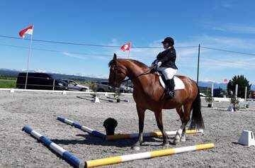 Reprises de nos activités estivales Reprises de nos activités estivales